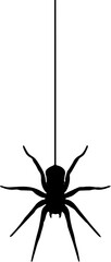 Silhouette of spider isolated on white background. Vectors illustration 