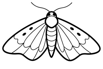 Opal Wings Illustration