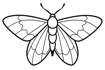 Opal Wings Illustration