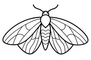 Opal Wings Illustration