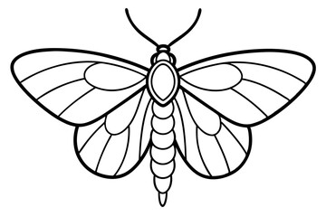 Opal Wings Illustration