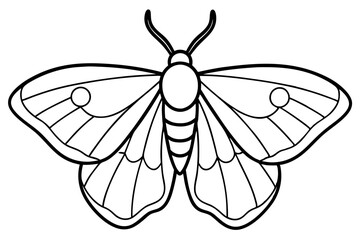 Opal Wings Illustration