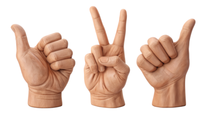 Three hands displaying thumbs up, peace sign, and shaka sign PNG on transparent background