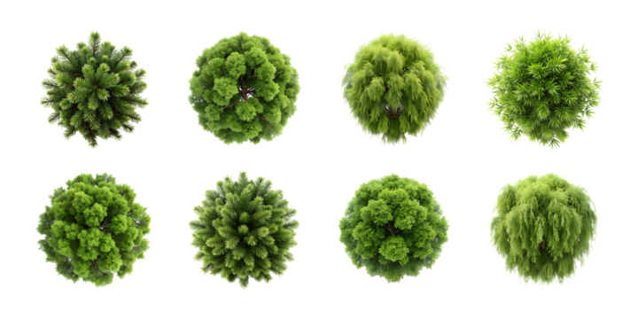 various top view of trees in transparent background