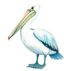 Obraz premium Isolated Pelican Standing Gracefully on a Vibrant Background Showcasing Its Unique Features and Natural Beauty