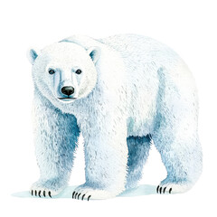 Fototapeta premium Isolated Polar Bear in a Calm Setting Showcasing Majestic White Fur and Intriguing Expressions