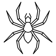 Clean Line Art Wolf Spider Vector