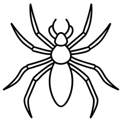 Clean Line Art Wolf Spider Vector
