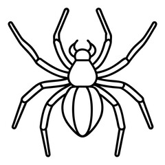 Obraz premium Clean Line Art Wolf Spider Vector