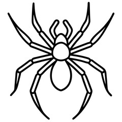 Clean Line Art Wolf Spider Vector
