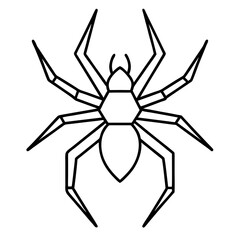 Clean Line Art Wolf Spider Vector