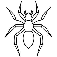 Clean Line Art Wolf Spider Vector