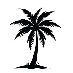 Fototapeta premium coconut-tree-silouette-on-white-background