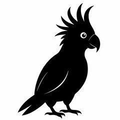 Cockatoo Silhouette Vector Graphic