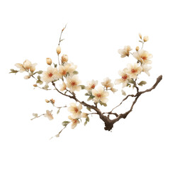 Traditional ink painting style sakura tree branches, Beautiful white cherry blossom, spring flowers.	