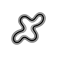Abstract Black and White Spiral Shape on White Background