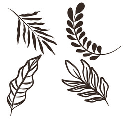 Obraz premium Tropical Leaf Outlines: Botanical Vector Illustration