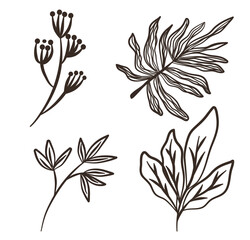 Tropical Leaf Outlines: Botanical Vector Illustration