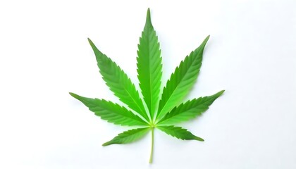 Marijuana leaf illustration on white background. Green ganja plant sign. Medical cannabis icon, herbal medicine and alternative treatment. Legalize weed concept, created with generative ai