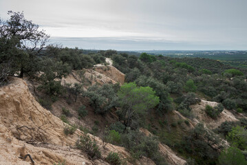 Eroded slopes with gullies and ravines in Monte del Pardo, Madrid, Spain. The terrain is marked by significant erosion, with vegetation primarily consisting of shrubs and scattered trees