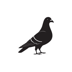 Obraz premium Silhouette Pigeon Vector Illustration, Black Silhouette Pigeon