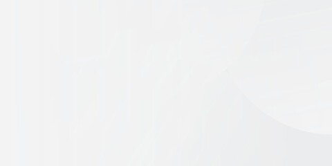 White geometric abstract background overlap layer on bright space with lines effect decoration. Modern graphic design element circles vector illusration eps10