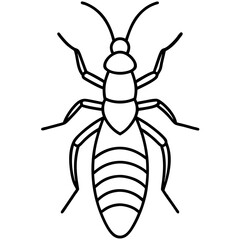 Elegant Termite Line Drawing