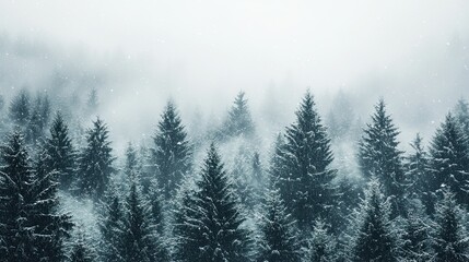 Misty winter forest scene with dark evergreens and soft snowfall. --