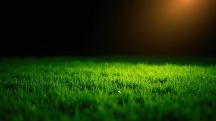 Naklejka premium Lush Green Grass Illuminated by Warm Light, a Vibrant Natural Texture for Design Projects