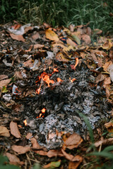 Burning autumn leaves and trash in a garden, environmental problem