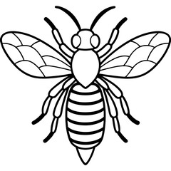 Minimalist Bee Line Art Vector