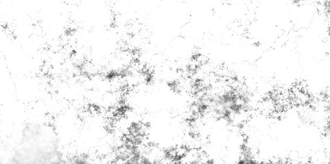 Obraz premium Distress overlay texture subtle grain texture overlay subtle black grunge speckle on white background. scattered tiny particles, grunge black texture overlay pattern sample on background.