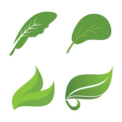 Green leaf Ecology
