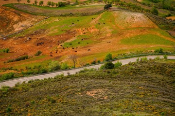 Fototapeta premium Tierras y campos de cultivo en la provincia de Guadalajara, España.