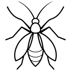 Fine-Line Aphid Illustration