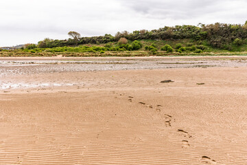 Footprints Leading Across Sandy Beach