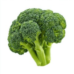 Fresh broccoli floret close up isolated on white background