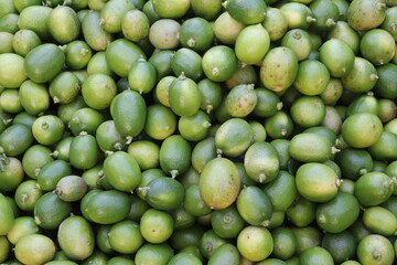 Abundance of Fresh Green Citrus Limes Pile Displayed at a Food Market Stand