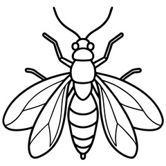 Minimalist Firefly Vector Line Art