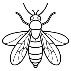 Minimalist Firefly Vector Line Art