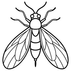 Minimalist Firefly Vector Line Art