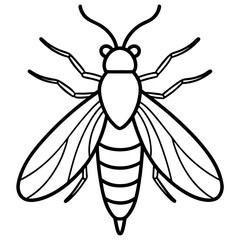 Minimalist Firefly Vector Line Art