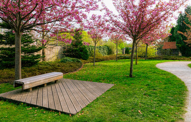 Wooden garden bench in the blooming spring park