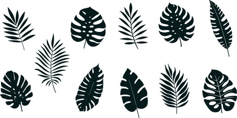 Obraz premium Tropical leaves silhouettes collection