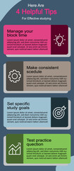 Comprehensive Business Budget Infographic with Expense Categories and Graphs