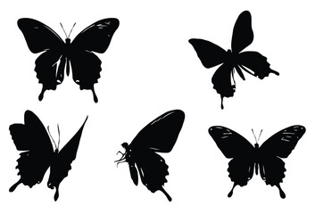 Set of butterfly silhouette