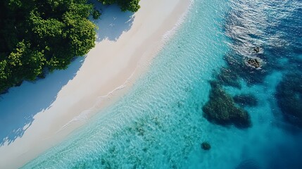 Secluded beach escape tropical paradise aerial view crystal clear waters relaxing environment nature's beauty