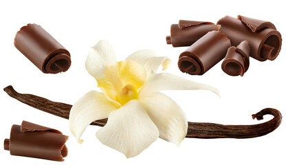 favo e flor de baunilha acompanhado de raspas de chocolate ao leite isolado em fundo transparente