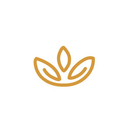 traditional Japanese flowers