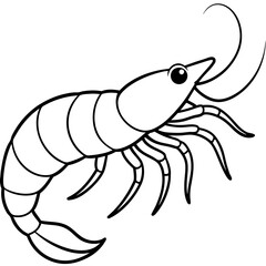 Single Line Shrimp Vector Illustration